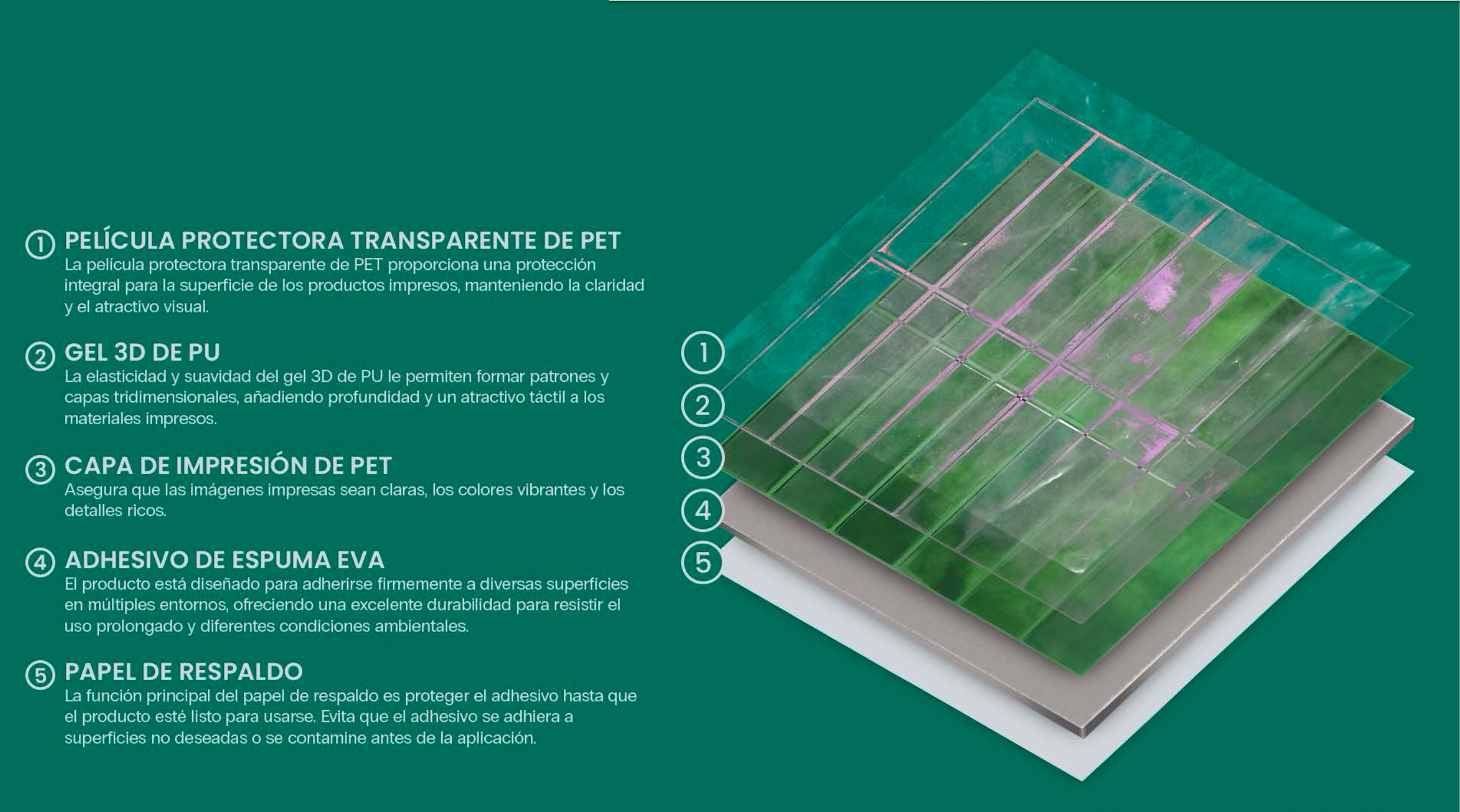 Estructura del producto: película protectora transparente de PET, gel 3D de PU, capa de impresión de PET, adhesivo de espuma EVA, papel de respaldo